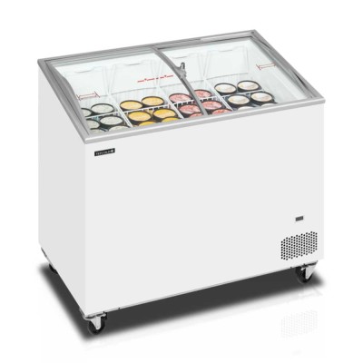 TEFCOLD - Congélateur de crème glacée 230 L couvercles incurvés
